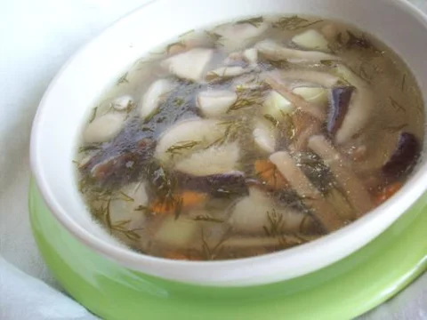 Fresh porcini mushroom soup